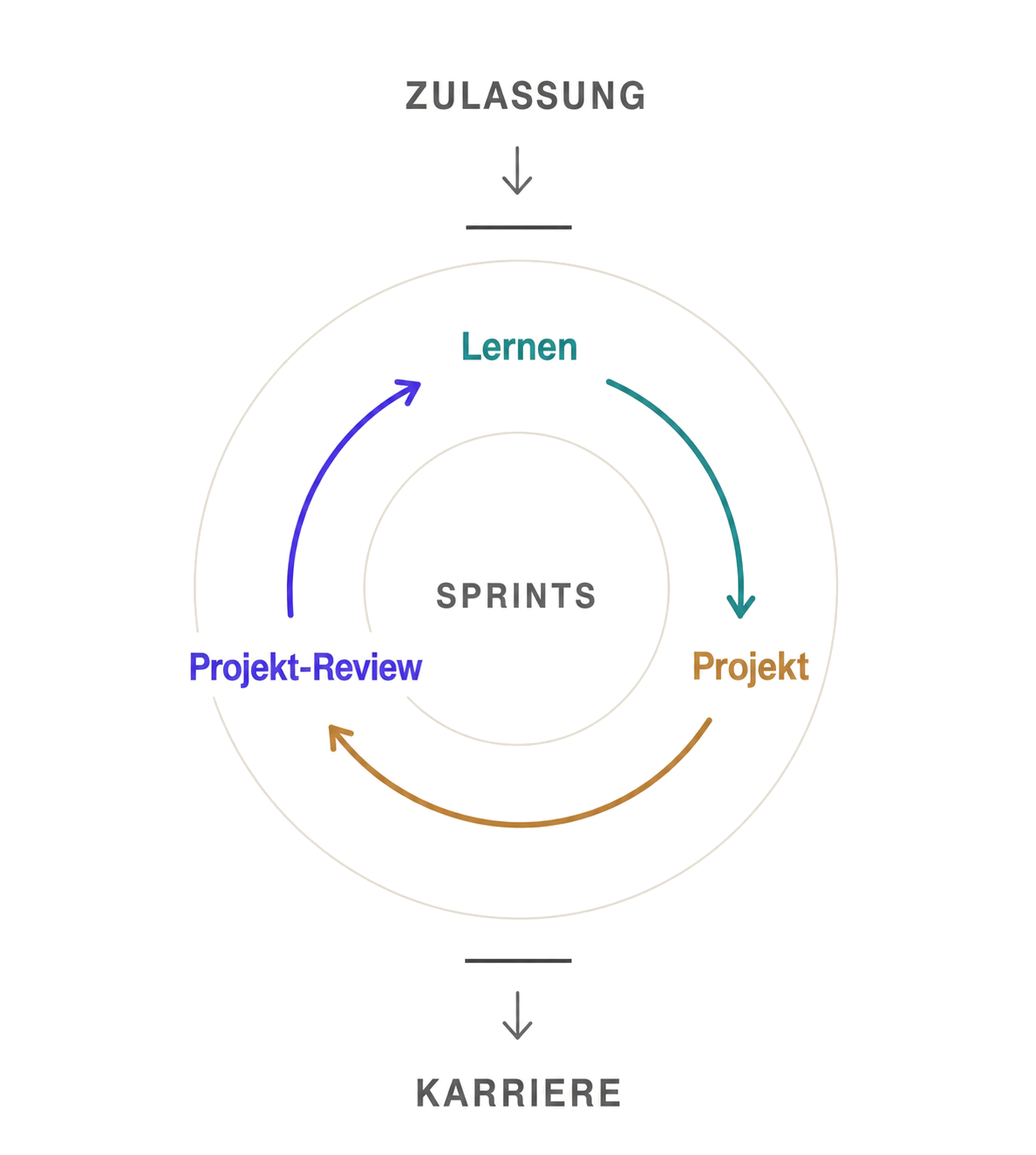 Kreislaufdiagramm des Programmablaufs: von der Zulassung über wiederholte Sprints aus Lernen, Projekt und Projekt-Review bis zur Karriere.